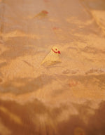 Load image into Gallery viewer, Golden Parrots - Image
