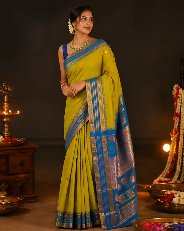 Naryanpeth Border Green